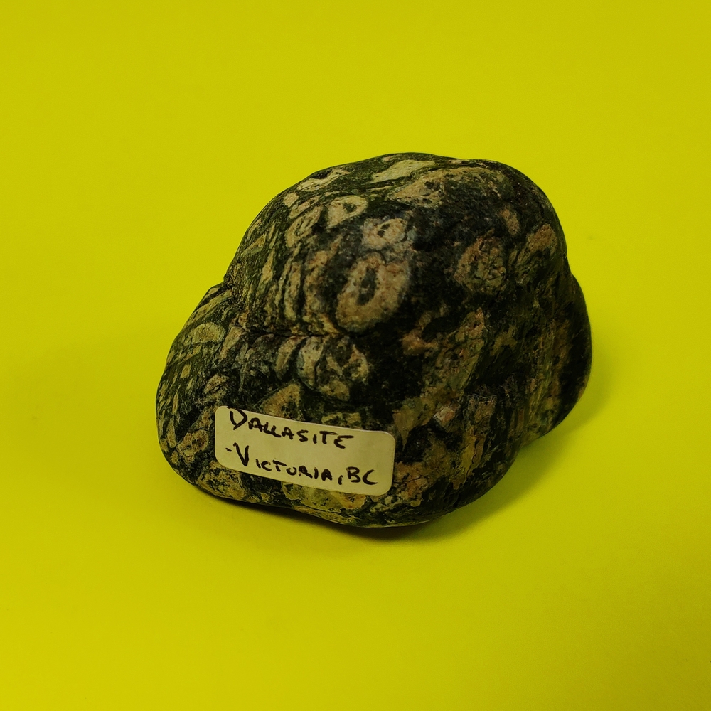 Dallasite from VICTORIA, BC